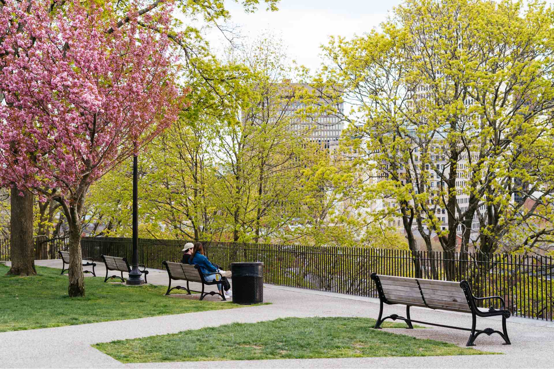 Pet-Friendly Parks Near Emblem 125 in Providence, RI